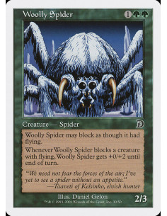 Woolly Spider