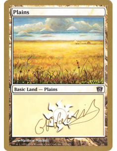 Plains