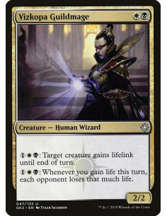 Vizkopa Guildmage