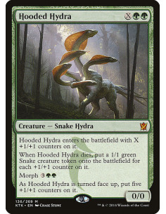 Hooded Hydra