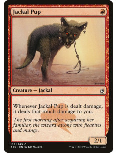 Jackal Pup - Foil