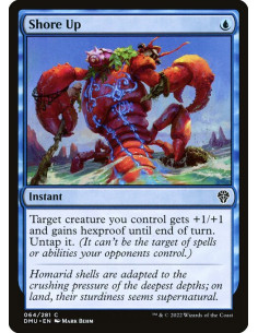 Shore Up - Foil