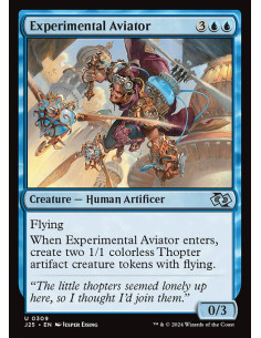 Experimental Aviator