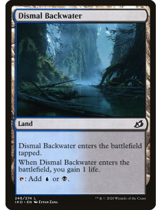 Dismal Backwater