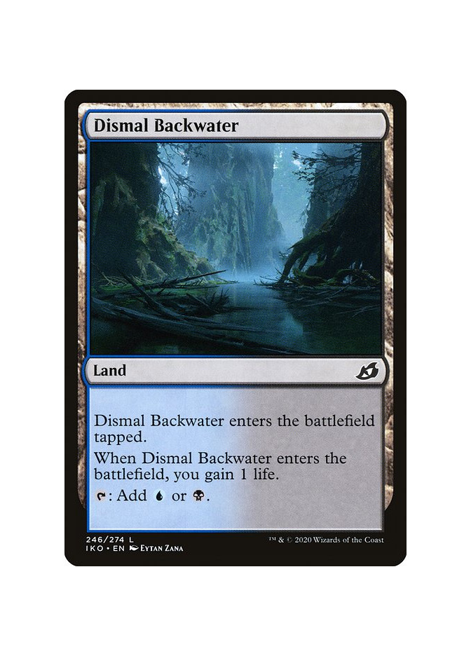Dismal Backwater