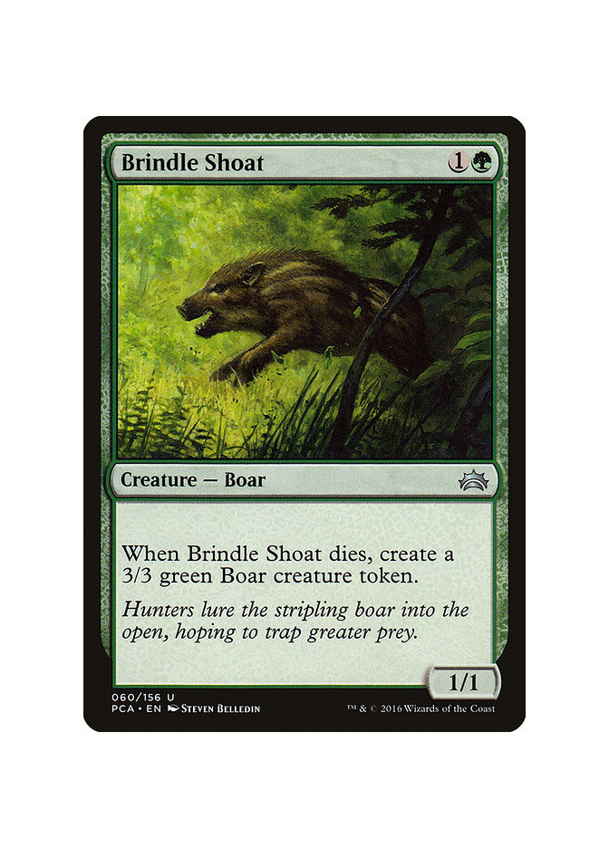 Brindle Shoat