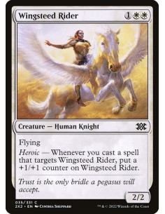Wingsteed Rider - Foil