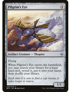 Pilgrim's Eye - Foil