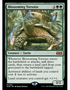 Blossoming Tortoise