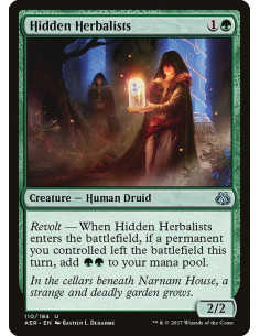 Hidden Herbalists - Foil