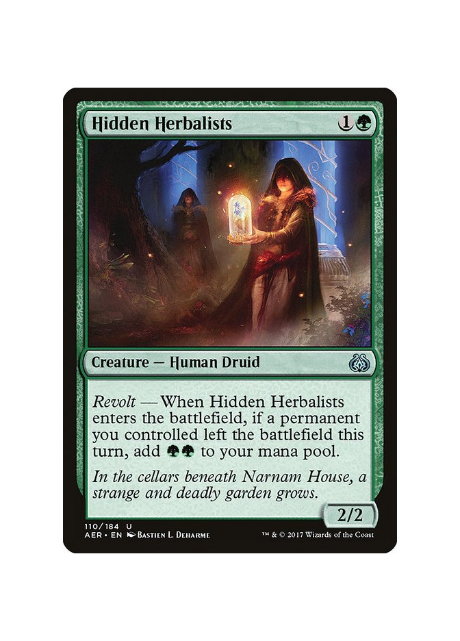 Hidden Herbalists - Foil