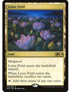 Lotus Field