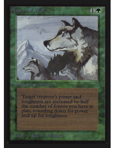 Aspect of Wolf