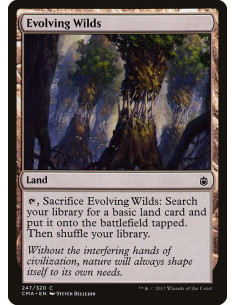 Evolving Wilds