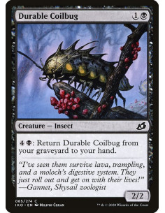 Durable Coilbug