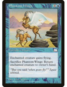 Phantom Wings