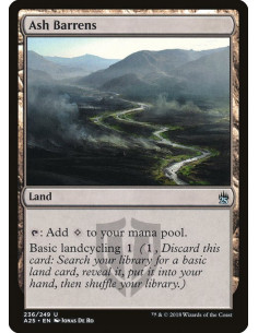 Ash Barrens - Foil