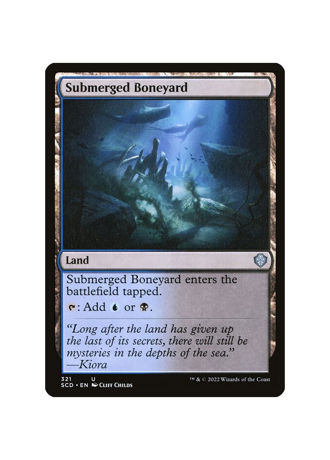 Submerged Boneyard