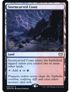 Stormcarved Coast - Foil