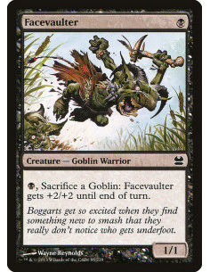 Facevaulter - Foil