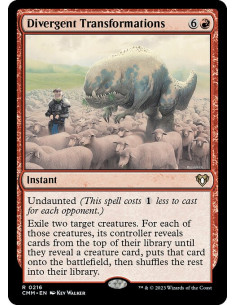 Divergent Transformations - Foil