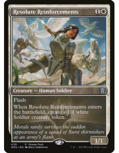 Resolute Reinforcements