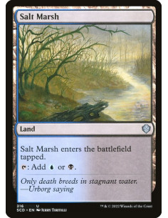 Salt Marsh