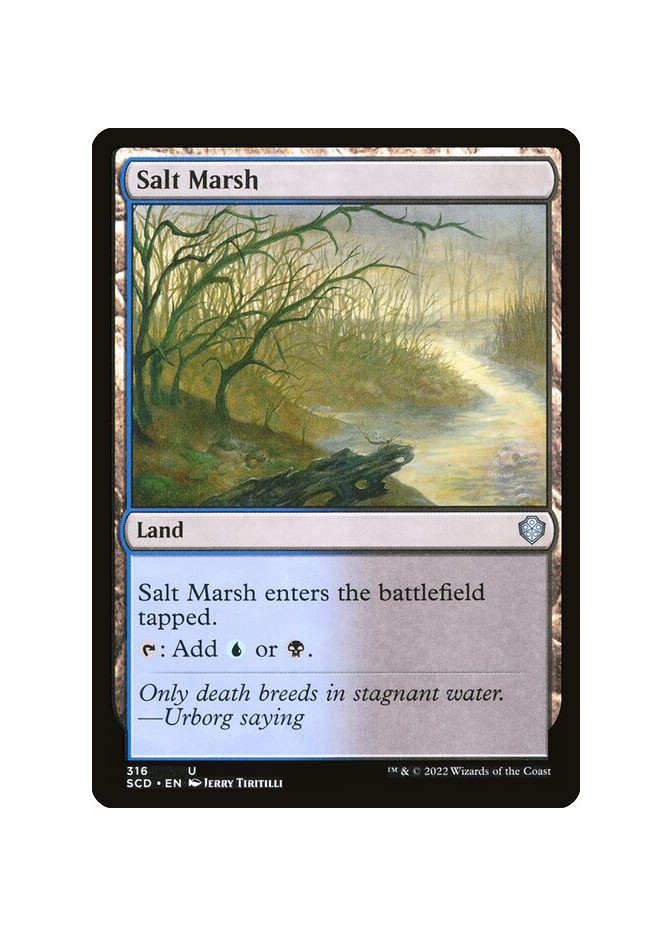 Salt Marsh