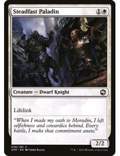 Steadfast Paladin