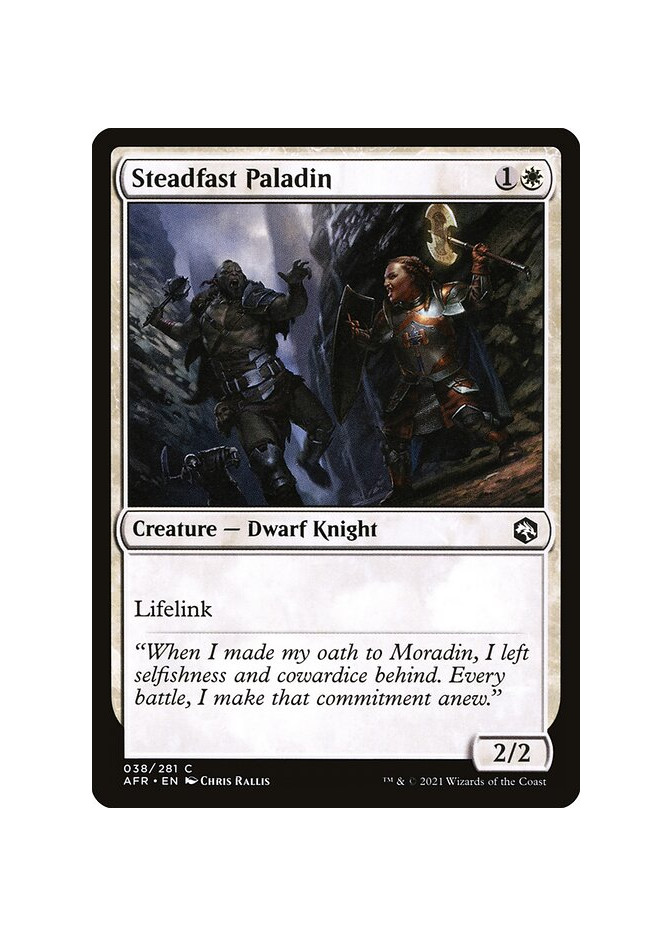 Steadfast Paladin