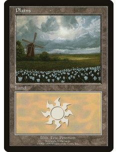 Plains