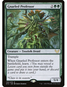 Gnarled Professor