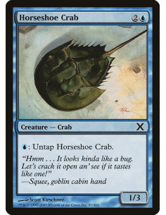Horseshoe Crab - Foil