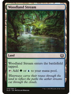 Woodland Stream