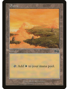 Plains