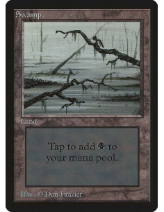 Swamp
