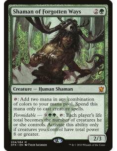 Shaman of Forgotten Ways