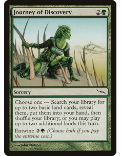 Journey of Discovery - Foil