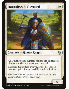 Dauntless Bodyguard
