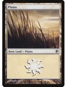 Plains - Foil