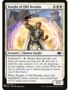Knight of Old Benalia