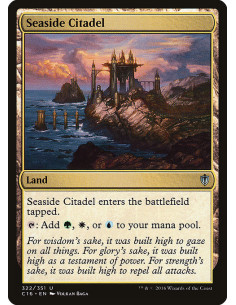Seaside Citadel