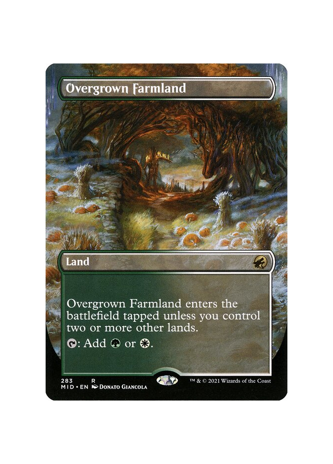 Overgrown Farmland - Foil