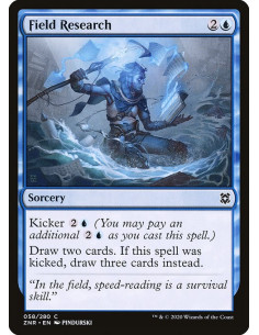 Field Research - Foil