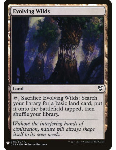 Evolving Wilds