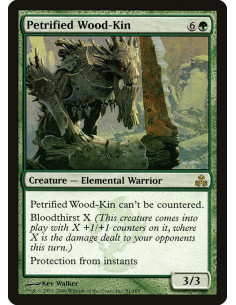 Petrified Wood-Kin - Foil