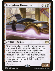Mysterious Limousine