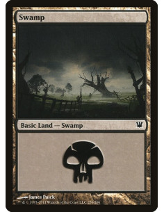 Swamp