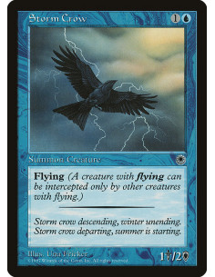 Storm Crow
