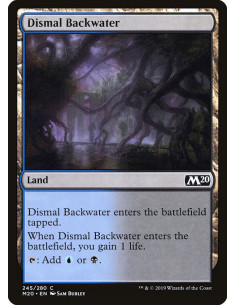 Dismal Backwater - Foil